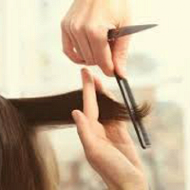 Salon Catulli Andrea