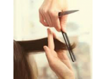 Salon Catulli Andrea