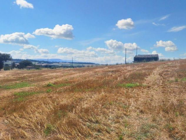 Immobile in asta di 75660 m² in vendita a Monte Castello di Vibio - Foto 2
