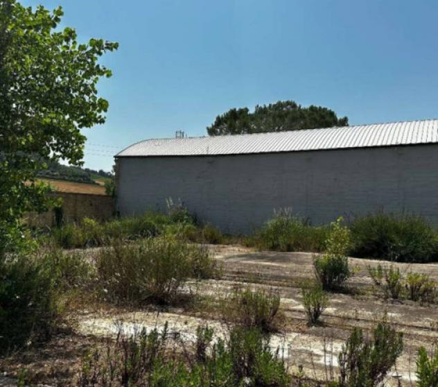 Immobile in asta di 4 m² con più di 5 locali in vendita a Fermo - Foto 3