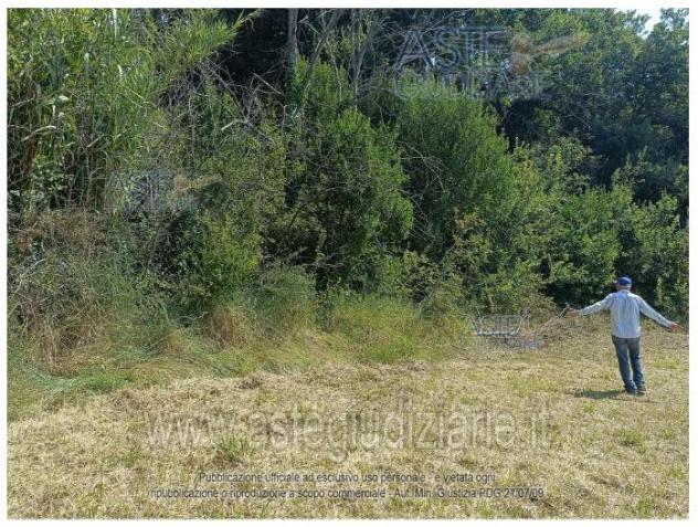 IMMOBILI-IMMOBILE COMMERCIALE-Via Valdicerro di Sopra, 60025 Loreto AN, Italia - Foto 7