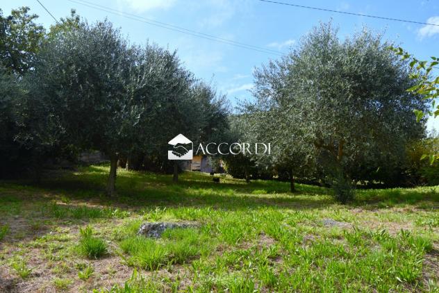 Lotto di terreno a Conegliano in zona collinare con casa indipendente - Foto 12