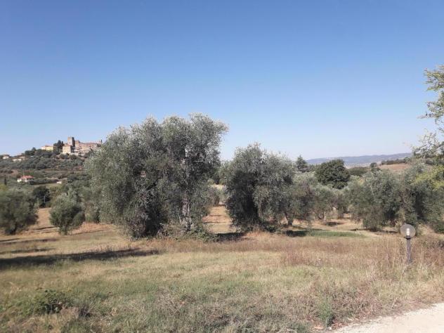Terreno agricolo in vendita a Manciano 210000 mq Rif: 1190900 - Foto 4