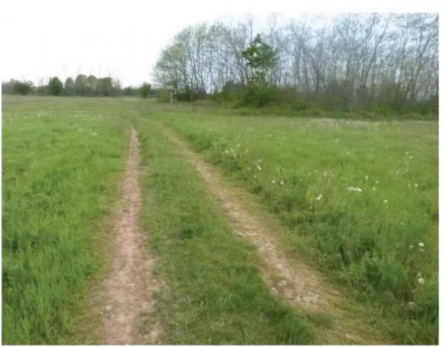 Immobile in asta di 29838 m² in vendita a Paese - Foto 5