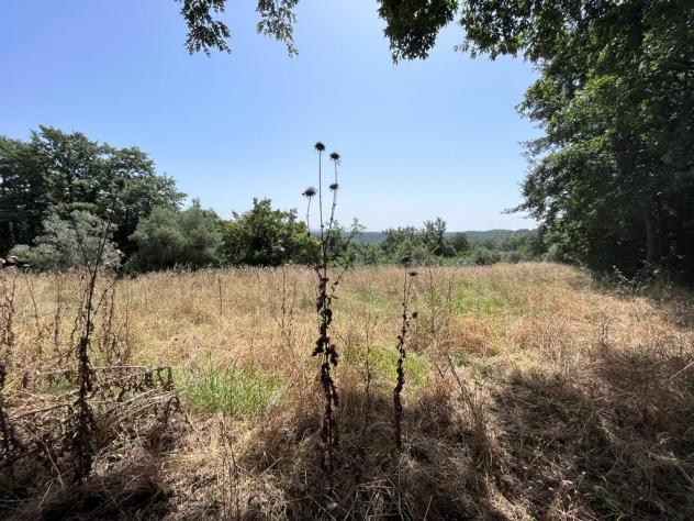 Nel comune di Sorano e precisamente nella frazione di San Giovanni delle Contee che dispone di servizi di prima necessità e dista circa 14 km da Soran - Foto 17