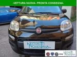 FIAT Panda 1.0 FireFly S&S Hybrid Icon 5°Posto Auto Nuova rif. 23767443