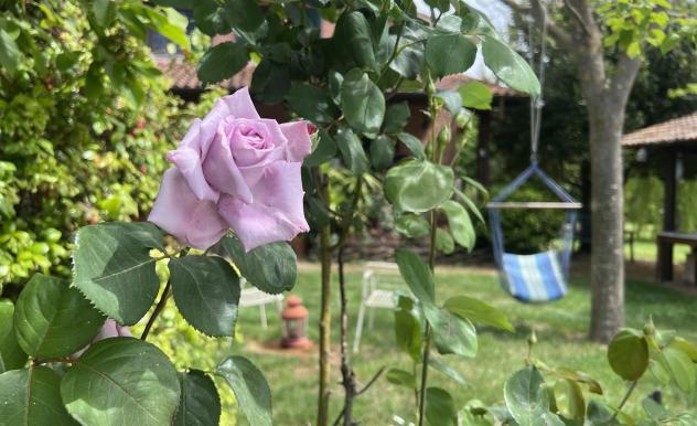 Bellissimo Casale con Piscina Immerso nel Verde - Foto 4