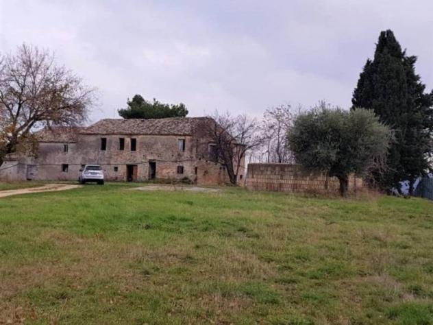 Agricolo in vendita a Cupra Marittima - Foto 11
