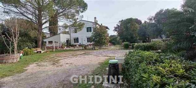 CASALE di 10 vani e di 265 mq (GROSSETO - CENTRO) rif. 2535.27M - Foto 5