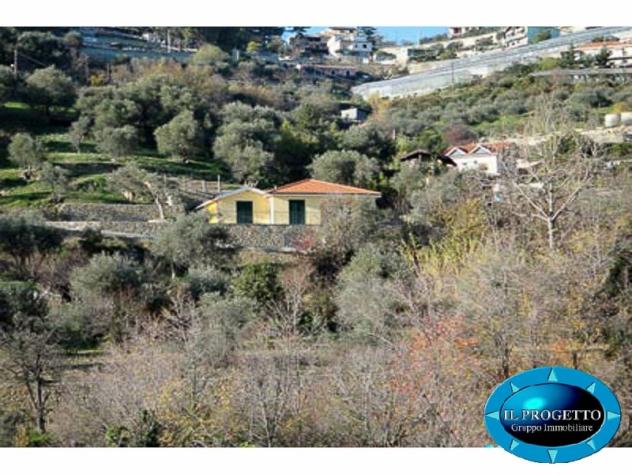 Villa singola in Vendita a Sanremo + terreni e rustico – via Borgo Tinasso - Foto 8