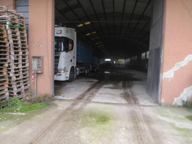 Immobile in asta di 2316 m² in vendita a Boschi Sant'Anna - Foto 16