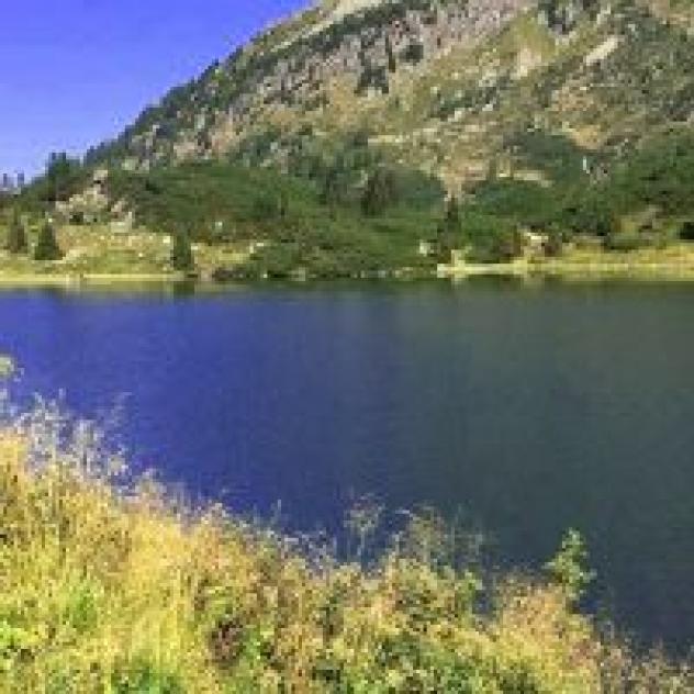 Albergo La Montanara di Zagonel Gisella & C. S.a.s. - Foto 4