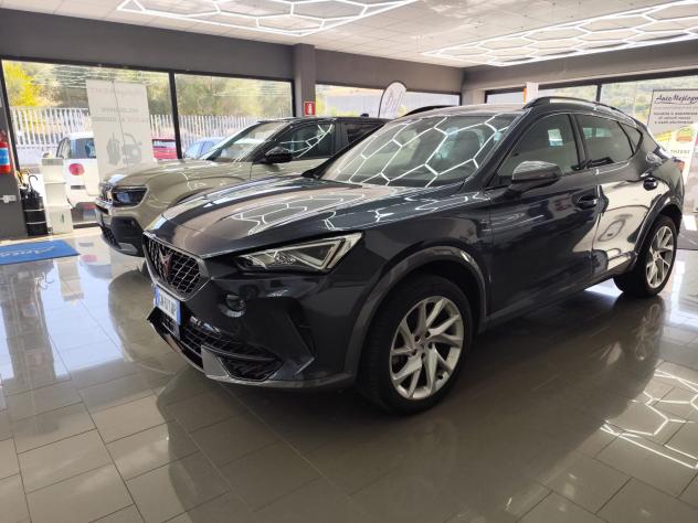 Cupra Formentor 2.0 TDI 4Drive DSG - Foto 9