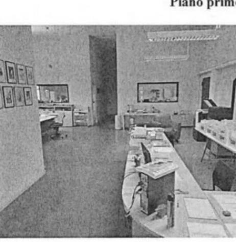 Immobile in asta di 10200 m² in vendita a Rivarolo del Re ed Uniti - Foto 3