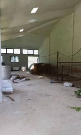 Immobile in asta di 443477 m² in vendita a Terni - Foto 9