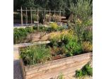 Fikus - The Apulian B&B