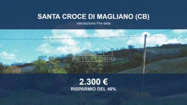 Immobile in asta di 4400 m² in vendita a Santa Croce di Magliano