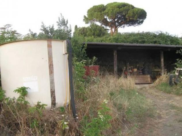 Immobile in asta di 151463 m² in vendita a Grottaferrata - Foto 11