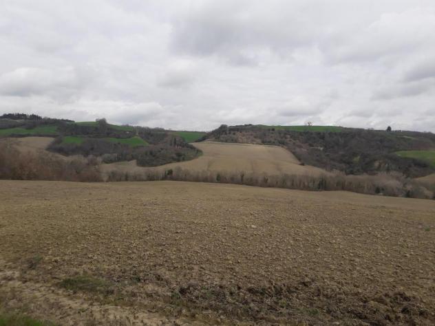 Terreno agricolo in vendita a Asciano 630000 mq Rif: 1083755 - Foto 7