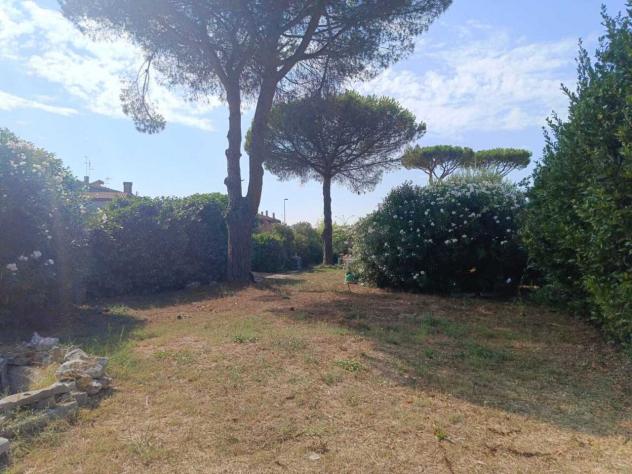 Seminativo in vendita a Cerveteri - Foto 3