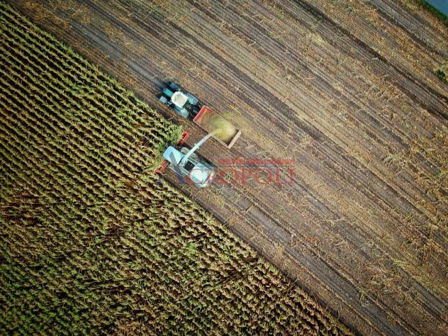 FIUMICINO, CASALE CON TERRENO AGRICOLO IN VENDITA - Foto 9