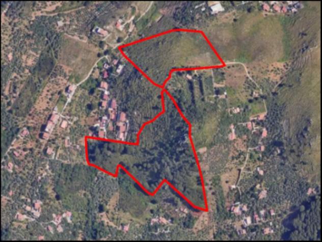 Immobile in asta di 62845 m² in vendita a Monreale - Foto 12