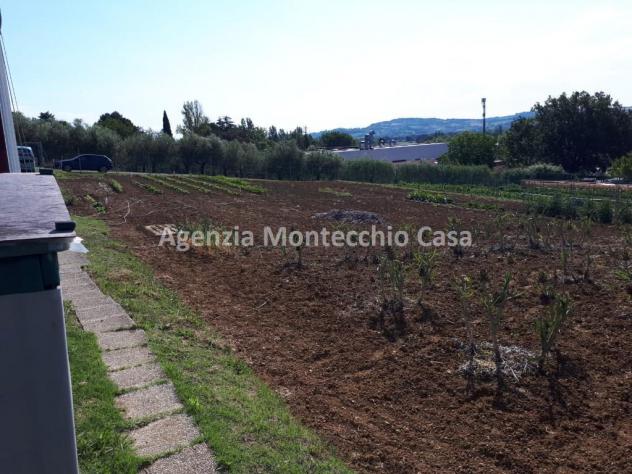 ORTO RECINTATO A POCA DISTANZA DA PESARO - Foto 11