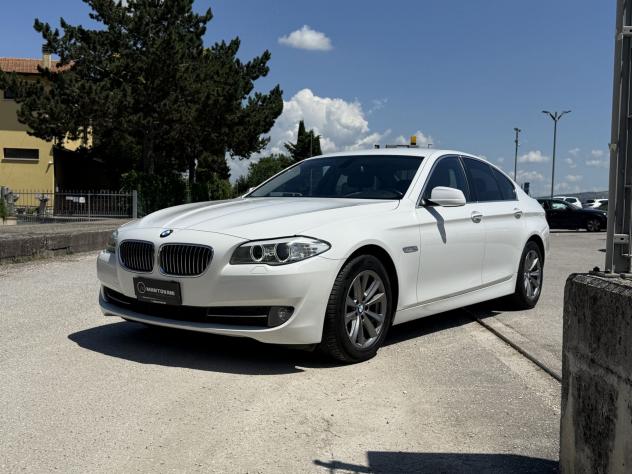 BMW Serie 5 520d Futura - Foto 10