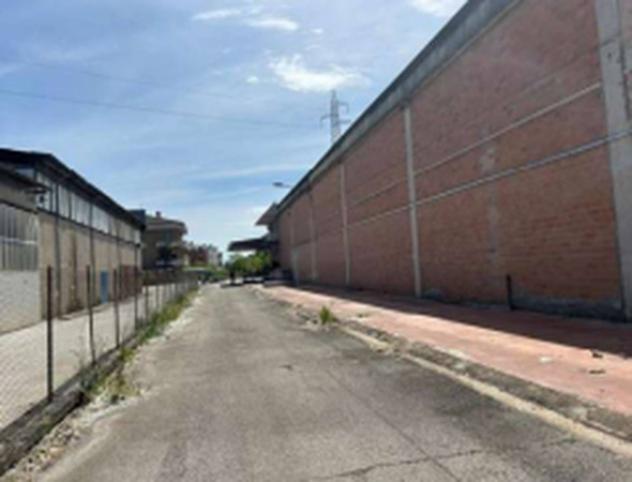 Immobile in asta di 696 m² con più di 5 locali in vendita a Torgiano - Foto 7
