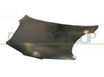COFANO ANT. DS0113100 Carrozzeria  Lamierati esterni  Cofano  Cofano ant. N &hellip;
