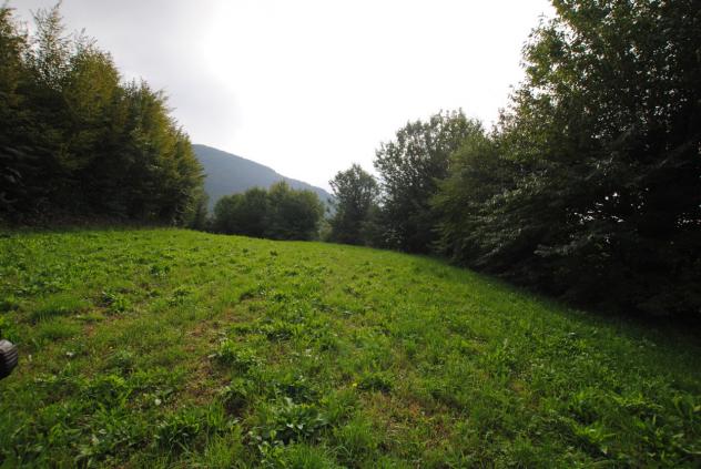 Terreno edificabile in vendita a Cornedo Vicentino - Foto 9