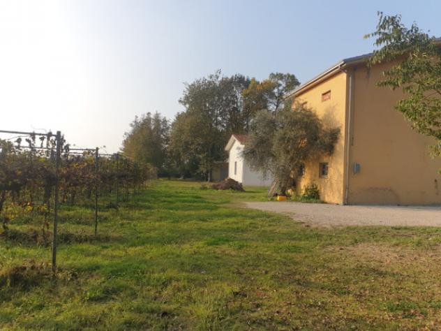 Terreno di 15000 m² in vendita a Correggio - Foto 7