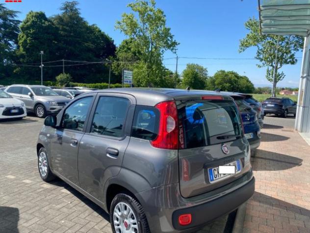 FIAT Panda 1.0 FireFly S&S Hybrid rif. 24077716 - Foto 2