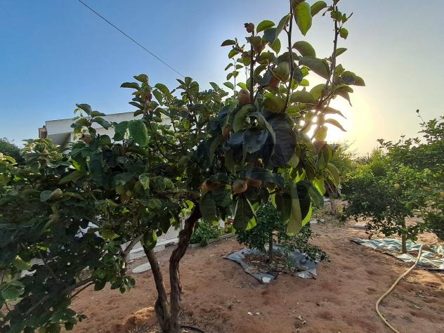 Villa o villino in vendita a Ragusa, Punta Braccetto - Foto 17