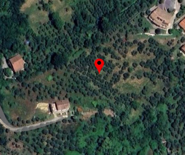 Agricolo in vendita a Anagni