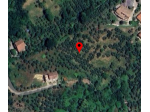 Agricolo in vendita a Anagni