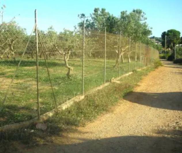 Immobile in asta di 4945 m² in vendita a Marsala - Foto 3