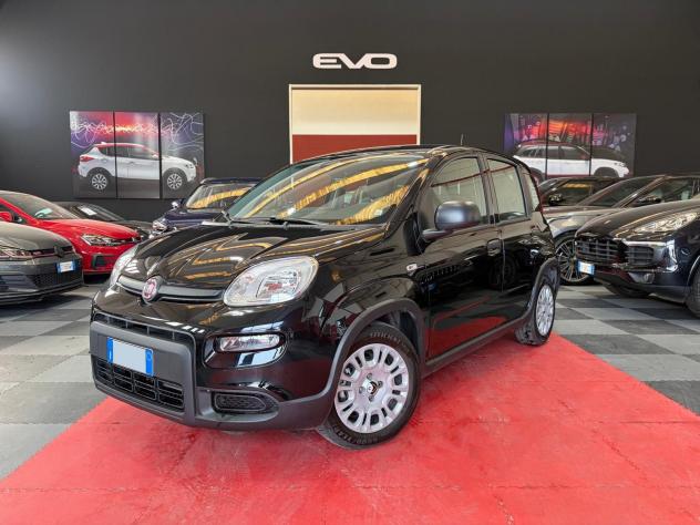 FIAT Panda 1.0 FireFly 70cv S&S Hybrid Pandina
