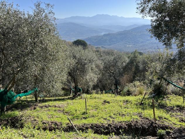 Casa di campagna in Località Torre - Foto 15