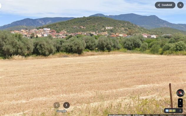 SANTADI (SU) Via RIO CANE, TERRENO 16541 MQ con 50 OLIVI ADIACENTE PAESE 3,5€/m² - Foto 7