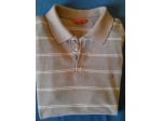 polo rionero