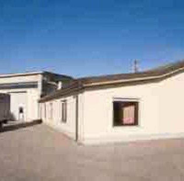 Spazio Legno - Foto 2