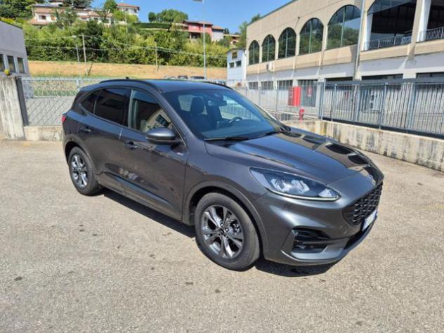 FORD Kuga 2.0 EcoBlue 120 CV aut. 2WD ST-Line rif. 24000036 - Foto 6