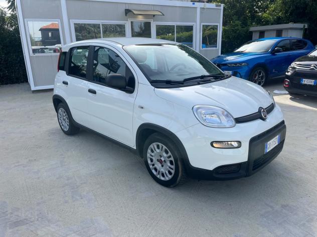 FIAT Panda 1.0 FireFly 70cv S&S Hybrid - Foto 3