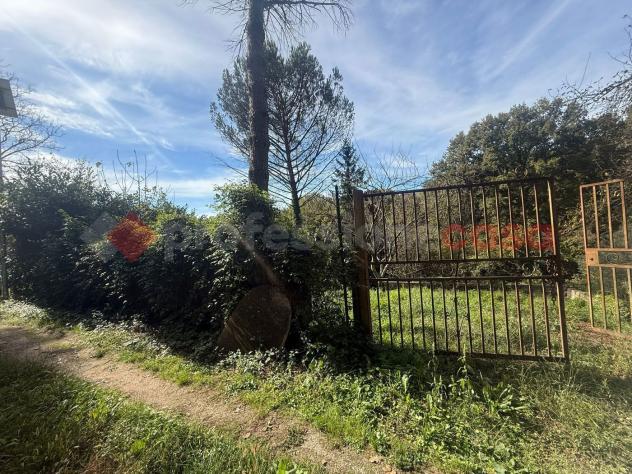 Terreno Residenziale - San Polo dei Cavalieri . Rif.: Cod. rif 3266647VRG - Foto 15