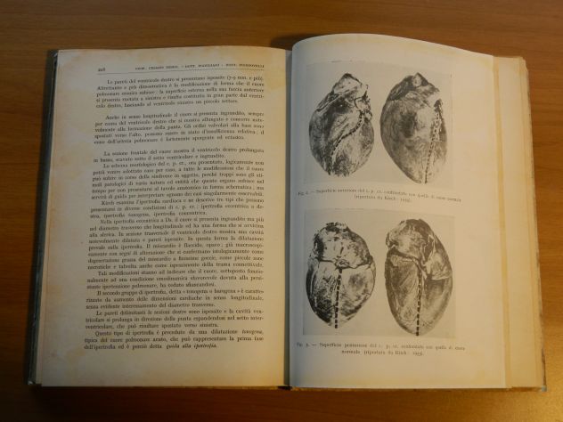 Archivio di Medicina Mutualistica VI 1957 Pubblicazione storica trimestrale