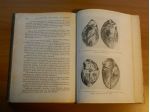 Archivio di Medicina Mutualistica VI 1957 Pubblicazione storica trimestrale