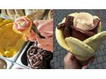 Esperti  del settore & Professionisti x gelateria in Germany