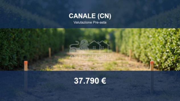 Immobile in asta di 1980 m² in vendita a Canale