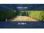 Immobile in asta di 1980 m² in vendita a Canale